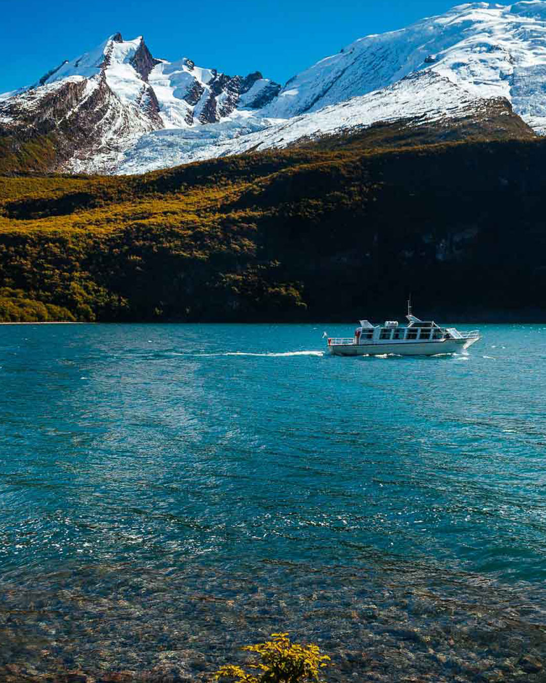 Laguna del Desierto