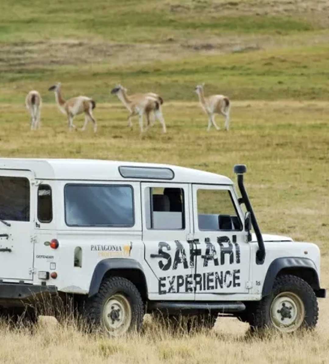Safari Experience 4×4